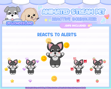 Load image into Gallery viewer, Animated Schnauzer Stream Pet with 12 expressions, reacts to commands and alerts | Digital assets | Stream Deco | Twitch Pets animation
