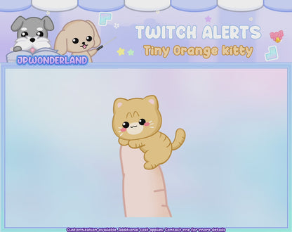 Animated Tiny Orange Kitty Twitch Alert Bundle / Stream Alert / Twitch Overlay / Cute ginger cat